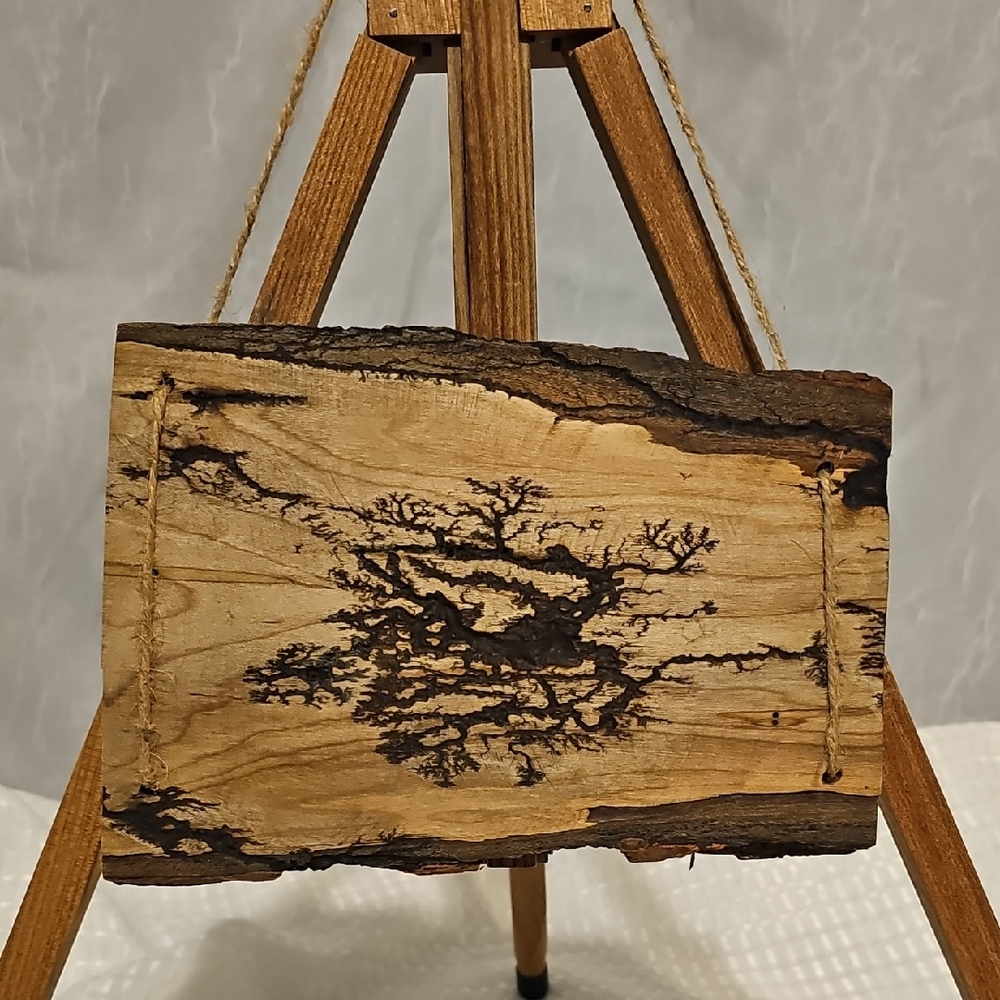 Rustic Wood Art Piece with Fractal Patterns